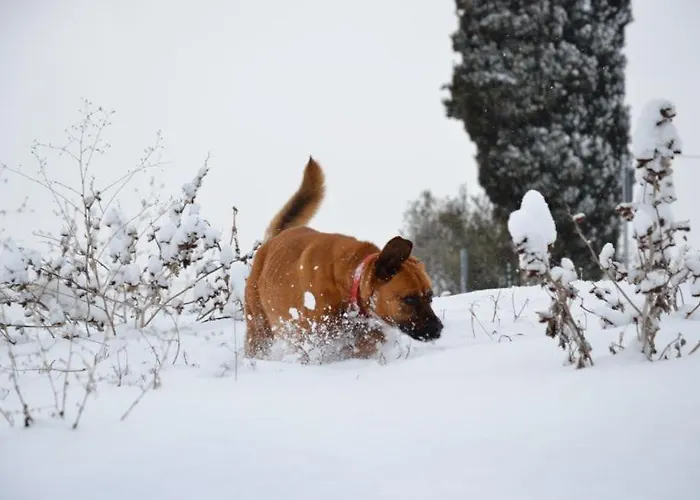 Farma Perugia Farmhouse *